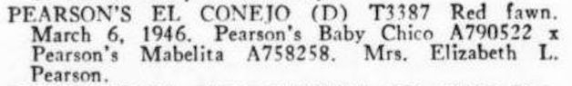 Pearson's El Conejo