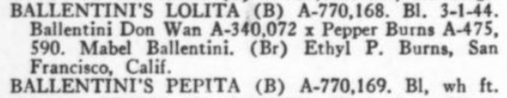 Ballentini's Lolita