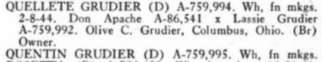 Quentin Grudier