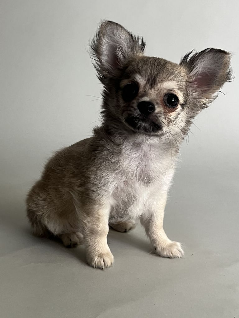 AmigoReal Marc Jacobs