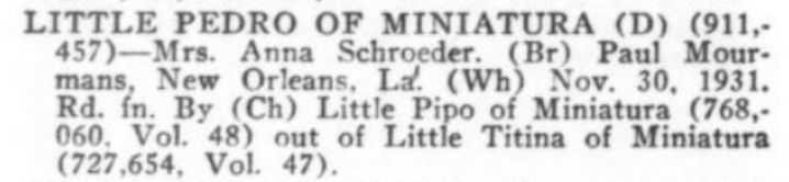 Little Pedro of Miniatura (911.457)