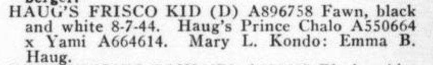 Haug's Frisco Kid