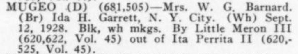 Mugeo (681.505)