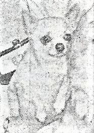 Apocodeodar Magician