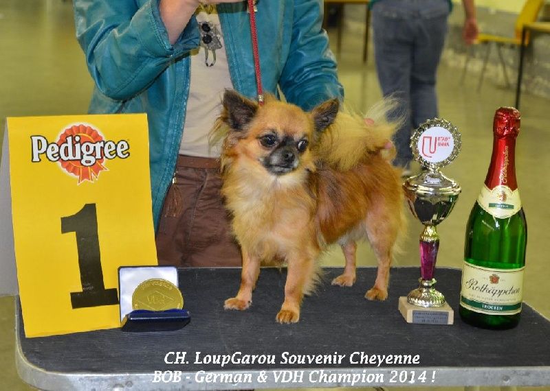 Loupgarou Souvenir Cheyenne