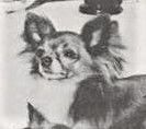 Fordepark Mr Mercury