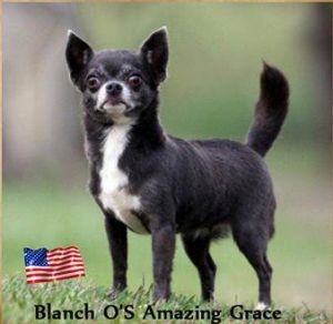 Blanch-O's Amazing Grace
