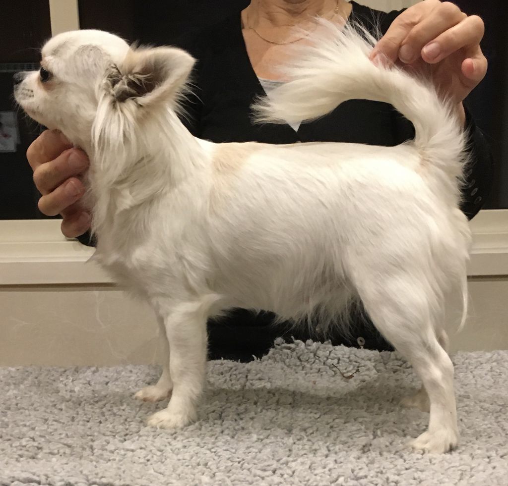 A Small Paw Nobody But Me