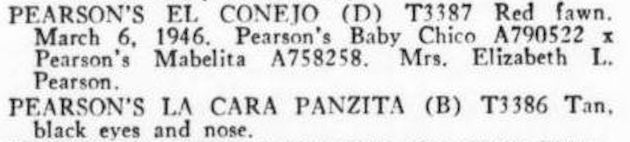 Pearson's La Cara Panzita
