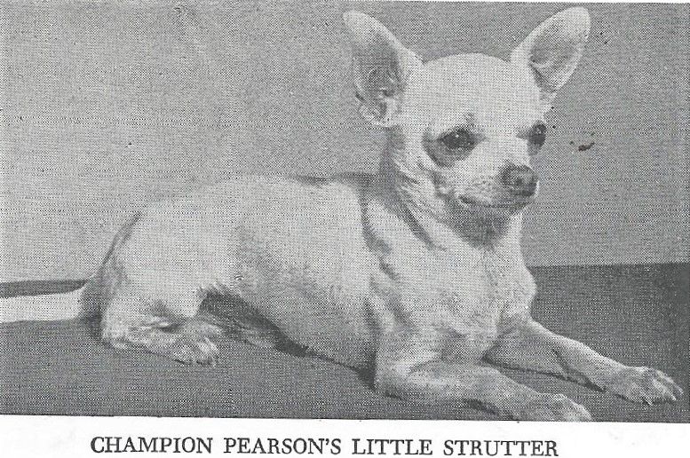 Pearson's Little Strutter