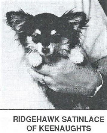 Ridgehawk Satin Lace Of Keenaughts