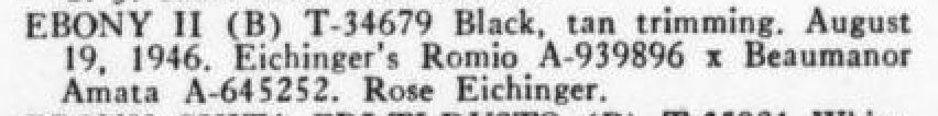 Ebony II