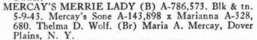 Mercay's Merrie Lady