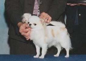 Ouachitah Giselle
